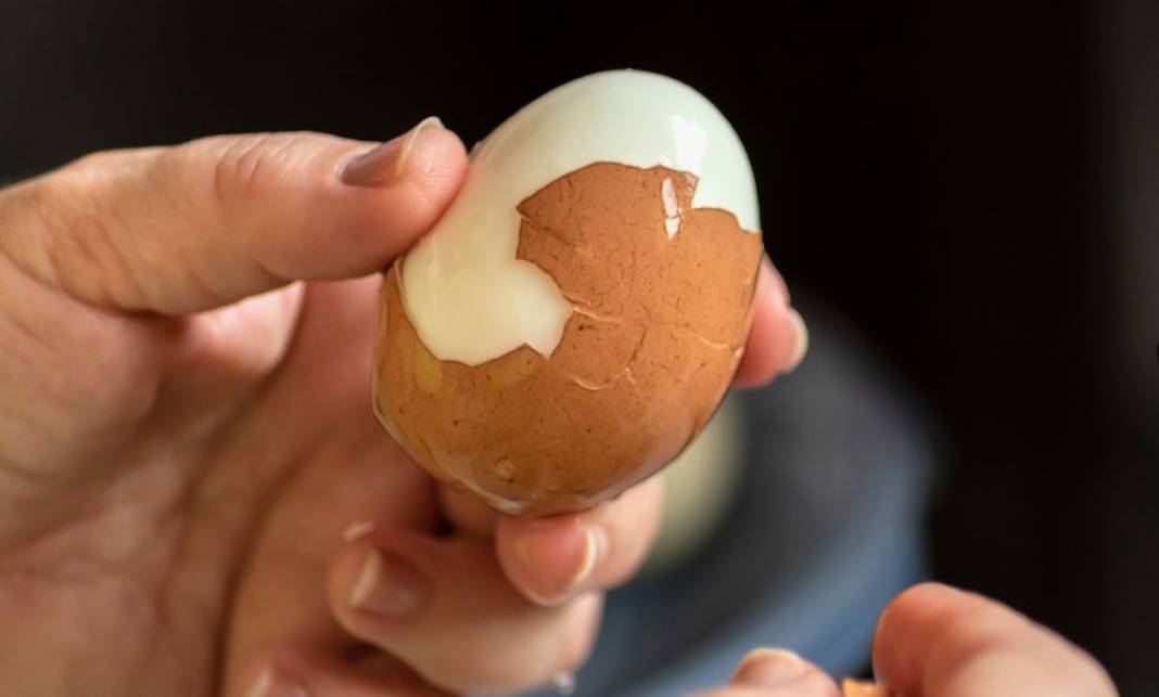 Beyaz mı kahverengi mi? Hangi yumurta daha sağlıklı? 9